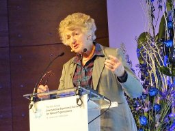 IEEPO in Madrid 2017